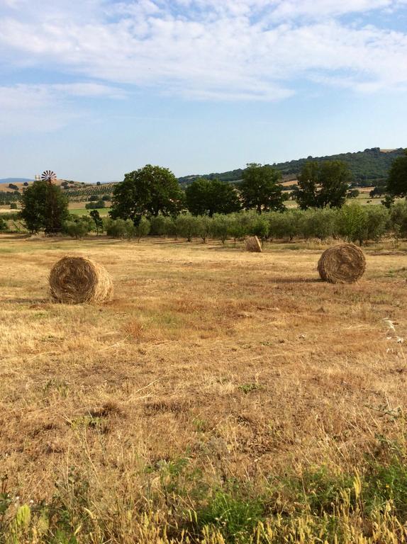 At Home In Maremma Istia dʼOmbrone Esterno foto
