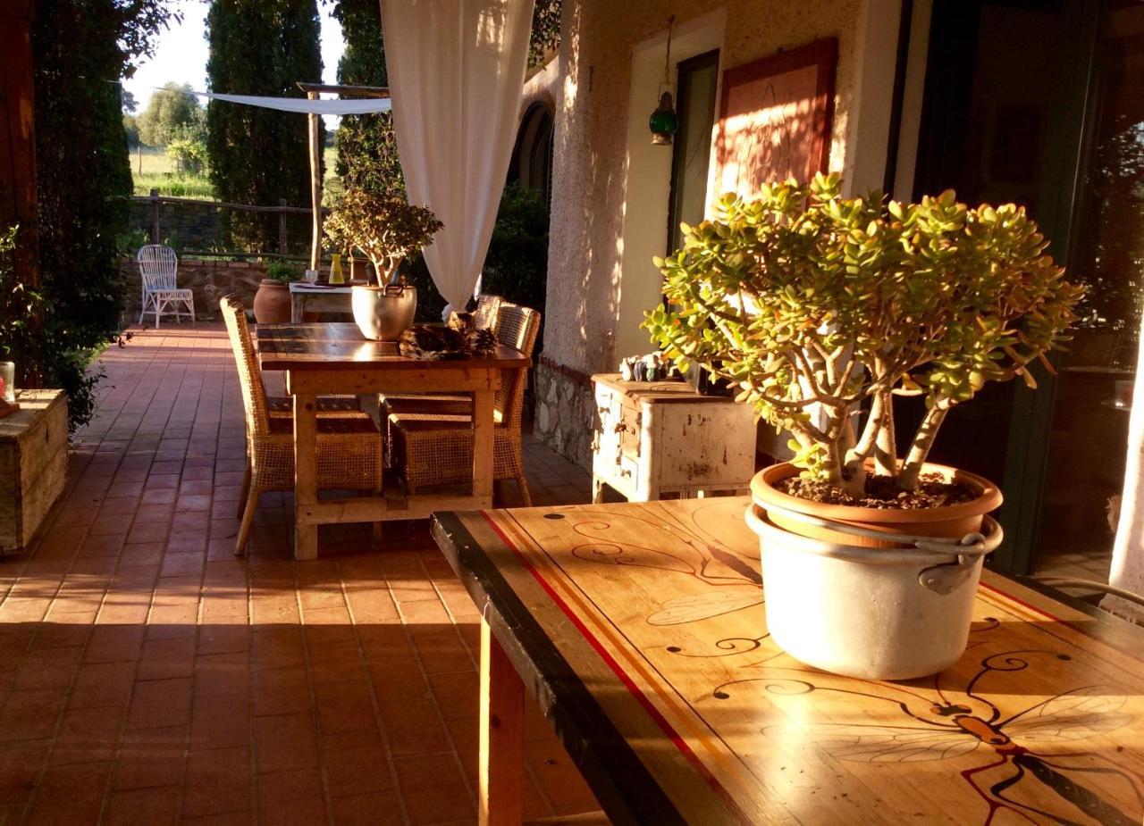 At Home In Maremma Istia dʼOmbrone Esterno foto